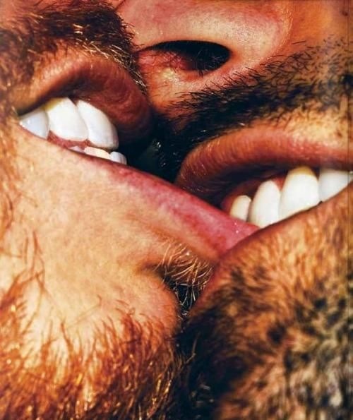 gaybears