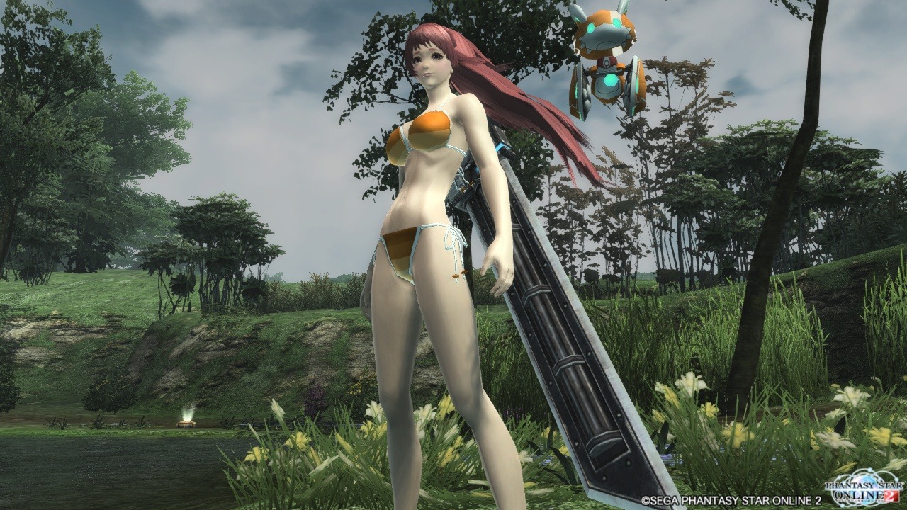 Pso2 English Download For Mac