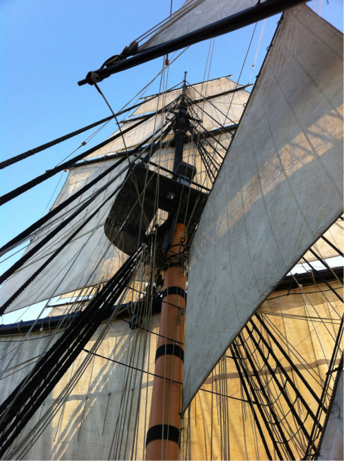 spiffingsailor:
“ For reference, this is what the rigging of a full-rigged ship’s main mast looks like.
I may have posted this photo before…
”