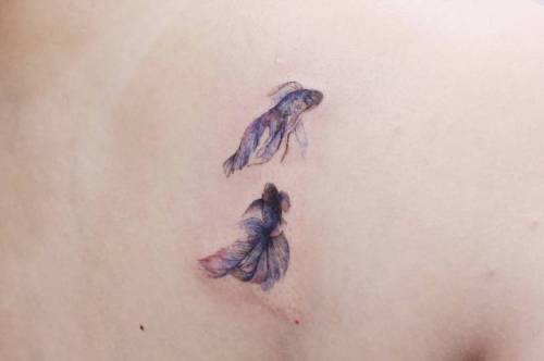 By Victoria Yam, done in Hong Kong. http://ttoo.co/p/32296 small;animal;watercolor;tiny;fish;ifttt;little;astrology;nature;shoulder blade;victoriayam;ocean;pisces;goldfish;illustrative;zodiac