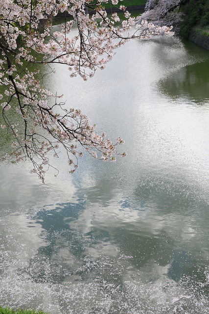 clouds reflection. by cate♪ 