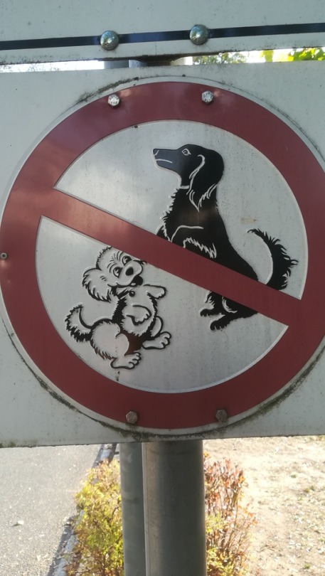no dogs or philosophers allowed