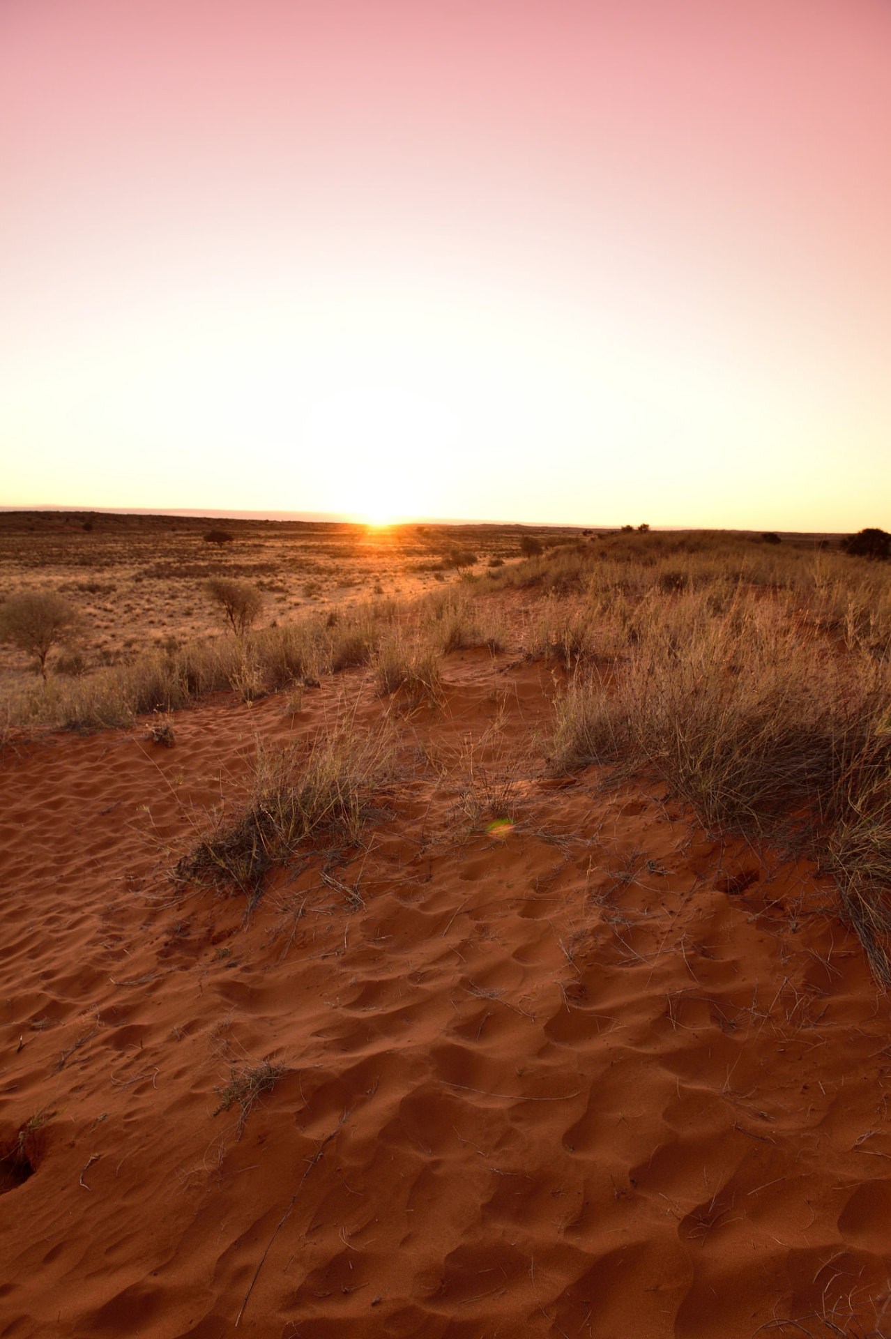 Amazing Places Kalahari Desert South Africa By South African   Tumblr O1hf1eK8BL1snegd3o1 1280 