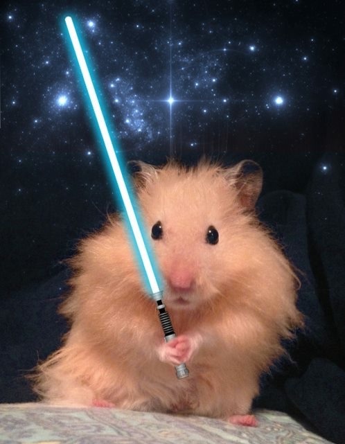Hammy the Jedi Hamster Avatar