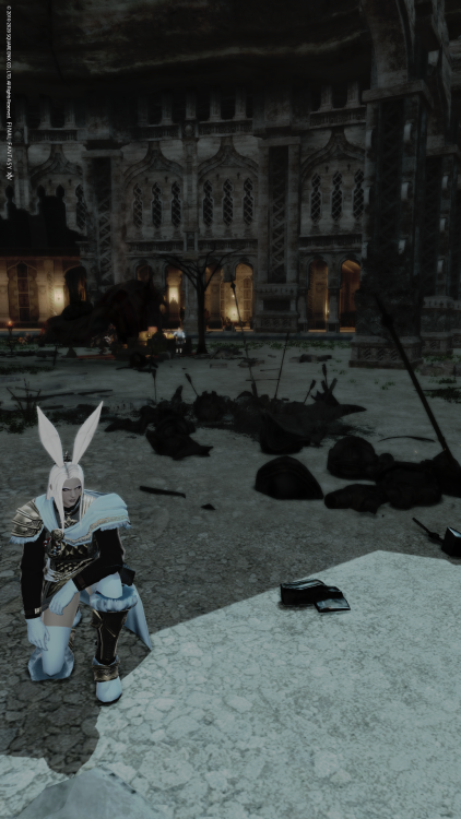 roegadynroost