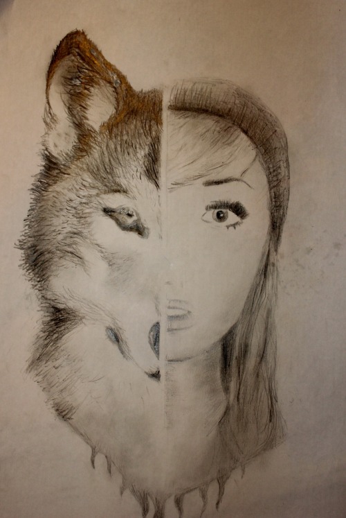 wolf drawing on Tumblr