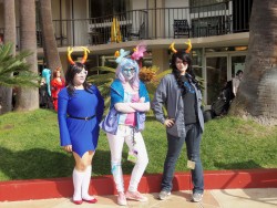 Anime Los Angeles 2014 Gatherings