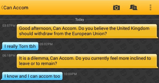 Me: Good afternoon, Can Accom. Do you believe the United Kingdom should withdraw from the European Union?
Can Accom: I really Torn tbh
Me: It is a dilemma, Can Accom. Do you currently feel more inclined to leave or to remain?
Can Accom: I know and I can accom too