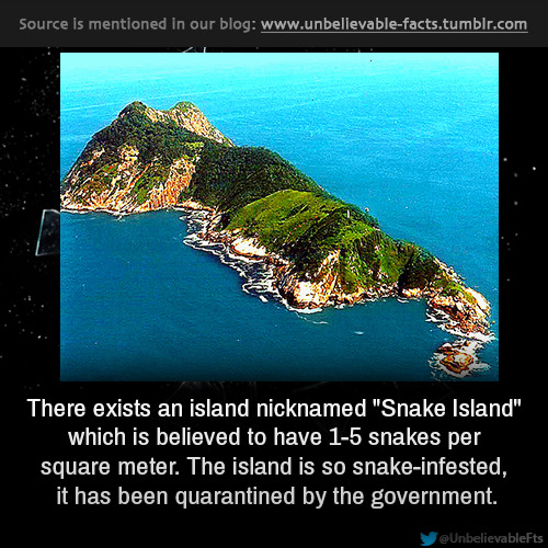 us island with lots of snakes