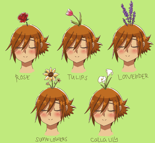 grahamcakeperfectionist:concept: different flowers for...