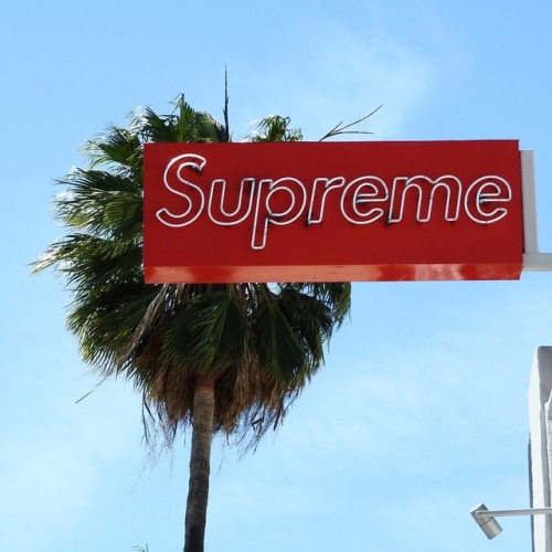 supreme logo on Tumblr