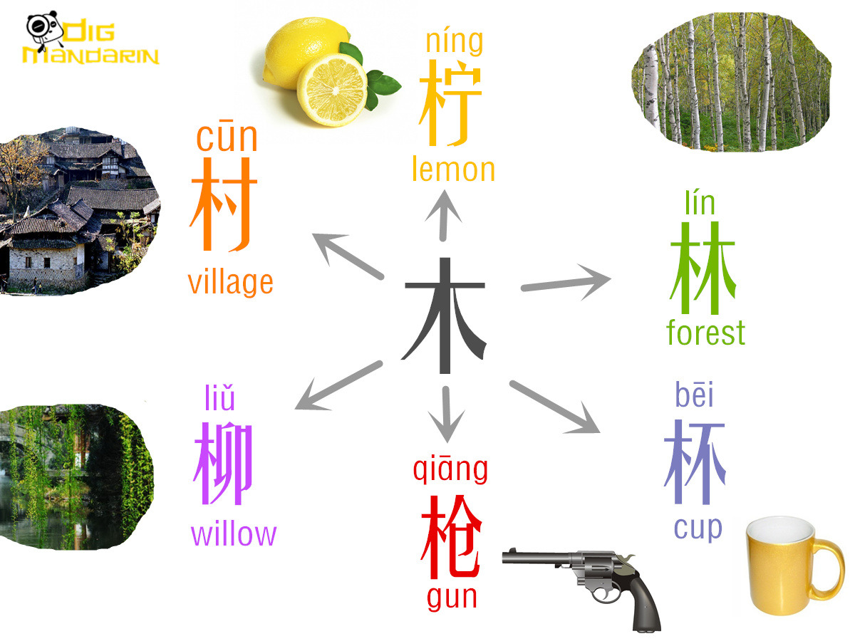 digmandarin-learning-chinese-characters-with-radicals-wood