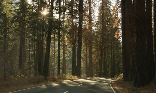 j-tk:panamint:yosemite, last fallomg I will go one day soon