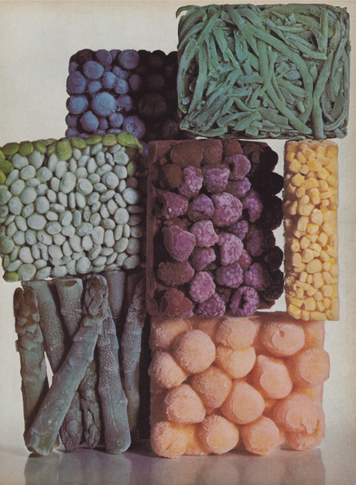 cinoh:frozen food by Irving Penn 1977