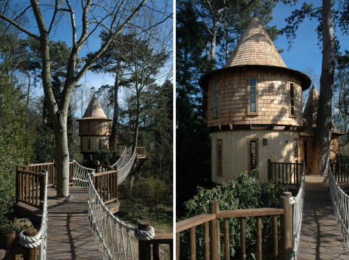 archiemcphee:This awesome arboreal dwelling is the Living the...