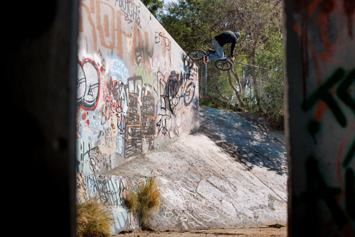 Gary Young road tests the refined Vans Era Pro with Pro Classics...