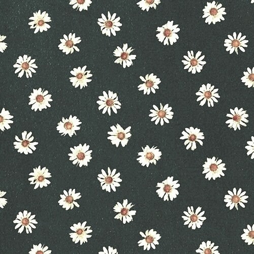 daisy flowers iphone wallpaper  Tumblr 