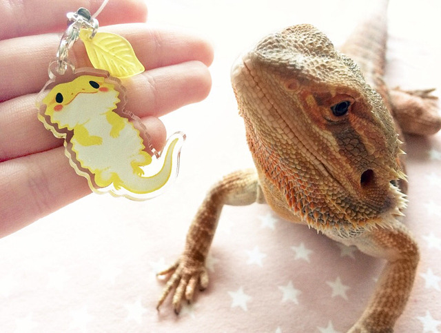 afternoon-fika-though-bearded-dragons-don-t-breathe-fire-that