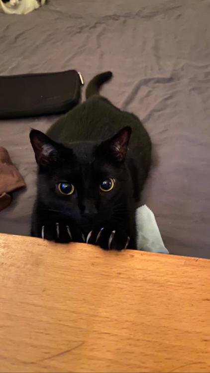 awwpics-org