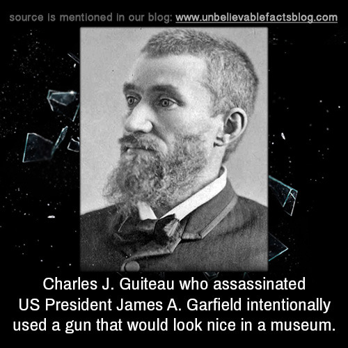 Charles J. Guiteau Essays