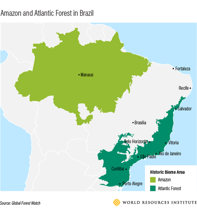 The Changing Climate, urbangeographies: BRAZIL’S ATLANTIC FOREST: