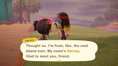 mayor-islandermcaims