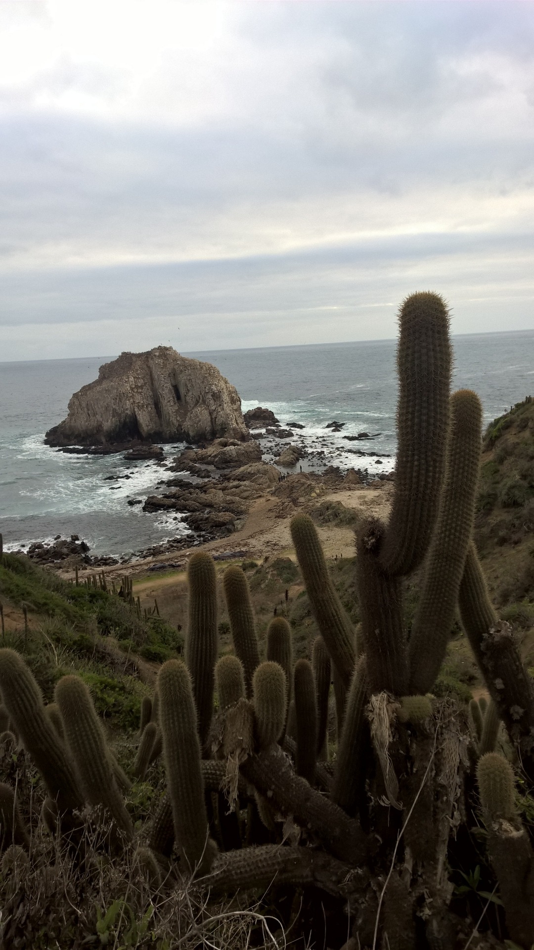 Me encanta el Invierno — Playa El Canelo y Canelillo y ...