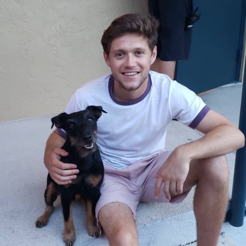 nhupdates:fyodorferg The main man, @niallhoran & me saying...