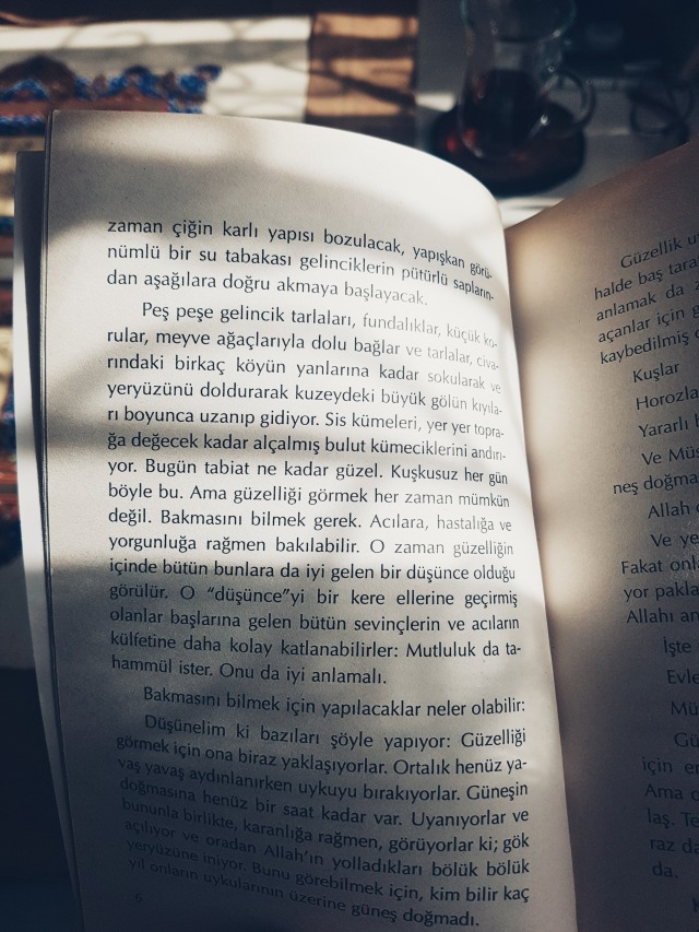 serçekuş Tumblr