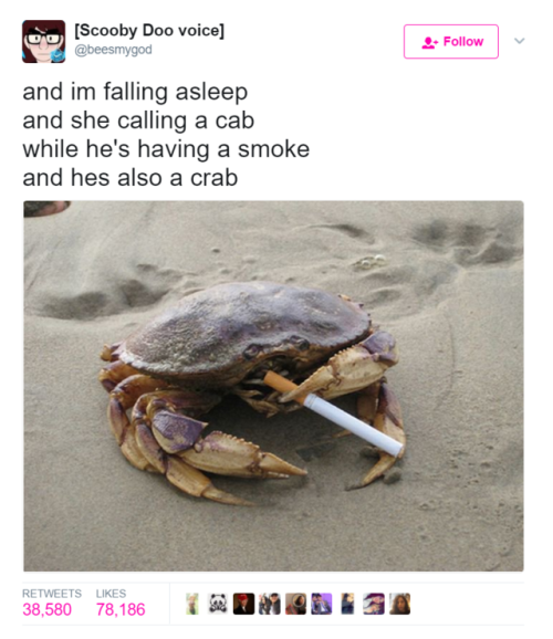 crabs pussy tumblr