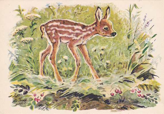 Baby deer postcard by V. Frolov, 1956
Buy in my shop: http://etsy.me/2DO6QoX