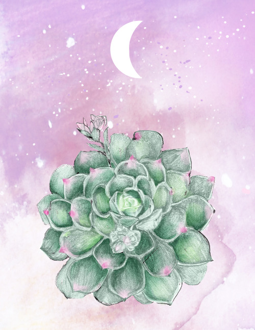 hannahmillustrations:new mixed media piece.Succulent Moon