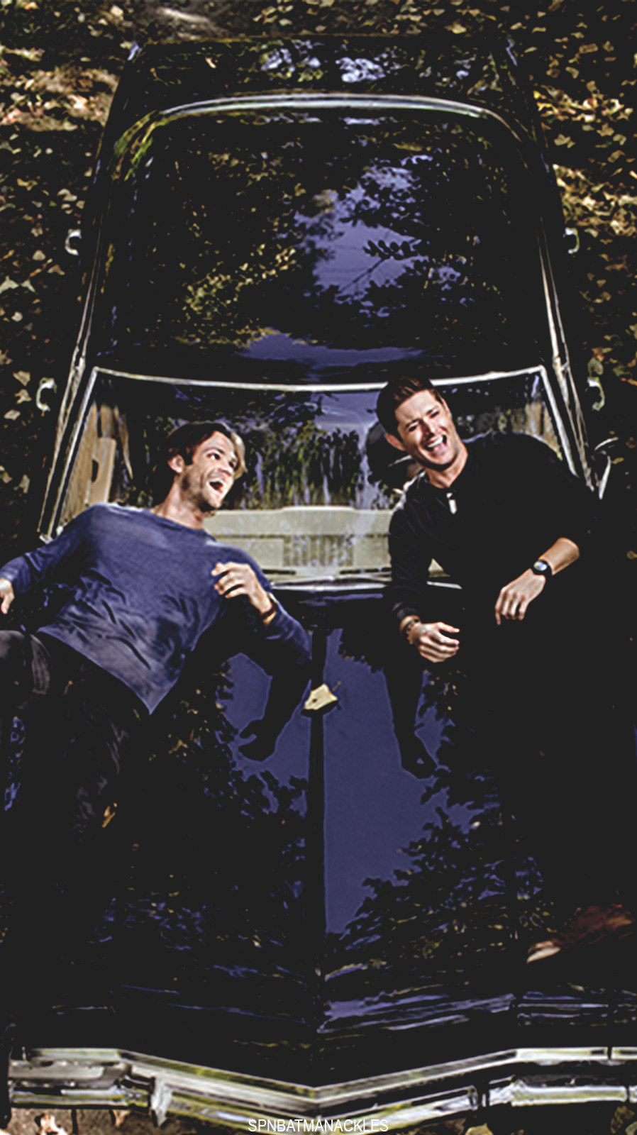 Magical Fav Or Reblog If You Saved I Don T Own The Fan Magical Fav Or Reblog If You Saved I Don T Own The Fan