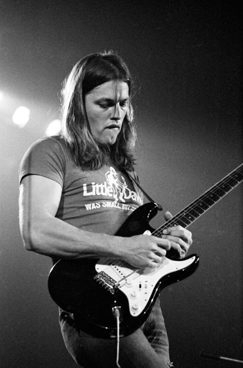 young david gilmour | Tumblr