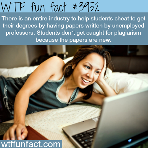 What Is Thesis In An Essay An Industry Of Cheating Essays Wtf Fun Facts Essay Thesis Examples also Topics Of Essays For High School Students An Industry Of Cheating Essays Wtf Fun Facts An Essay On Newspaper