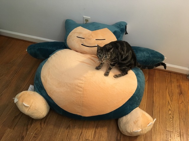 snorlax pillow case