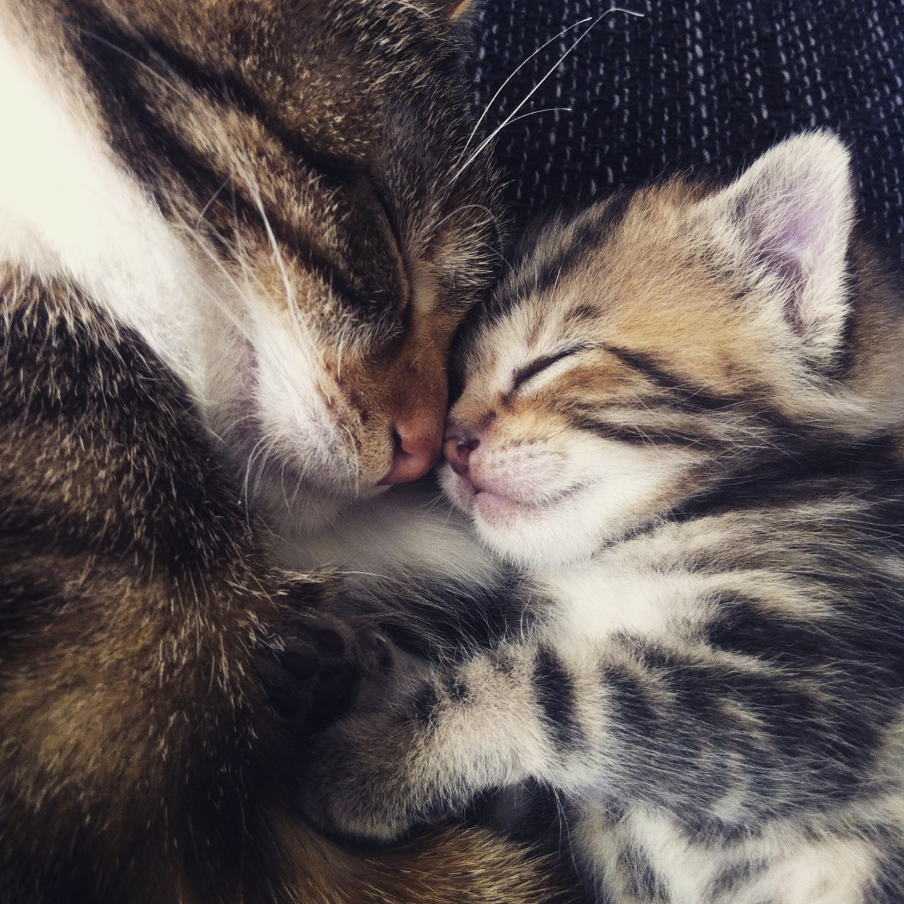 awwww-cute: “Mum & Son (Source: http://ift.tt/29sc2yj) ”