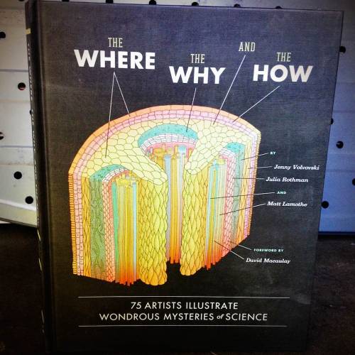 The Where, the Why, and the How by Jenny Volvovski