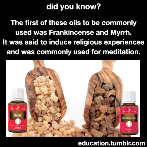 xkn:aamm:education:Learn More about Young Living Essential...