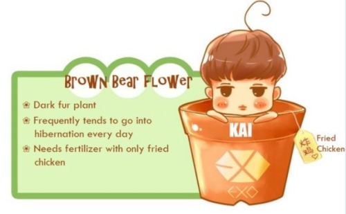 cookiezmonstyr:Collect All 12 of the Adorable EXO Plants!...