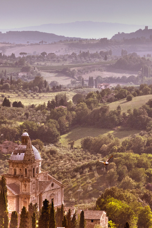 allthingseurope:Tuscany, Italy (by Renaudj)