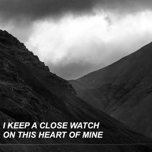 halsey ashley frangipane i walk the line aesthetic text aesthetic lyrics aesthetic black and white lyrics halsey lyrics se7enteenblack ghost melanie martinez