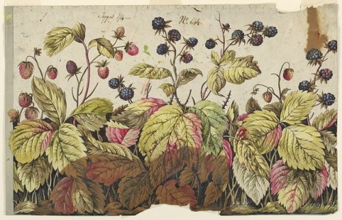 design 18th century strawberries blackberries graphic art