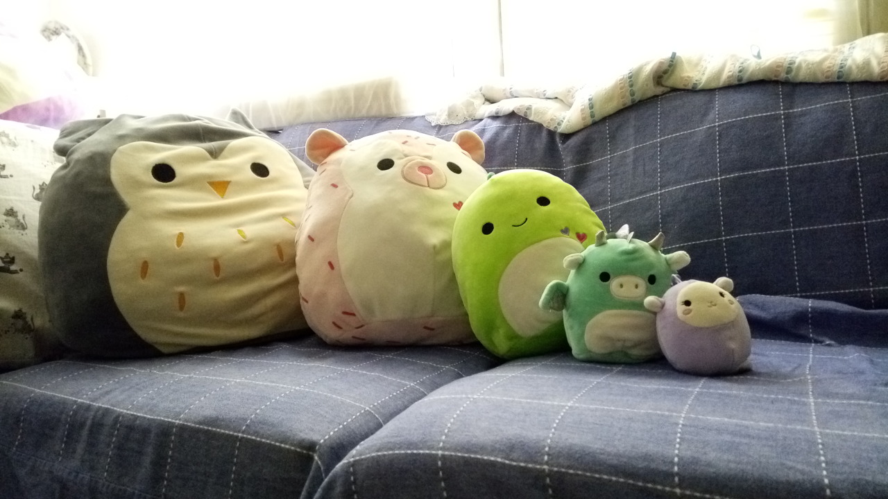 squishmallow-on-tumblr