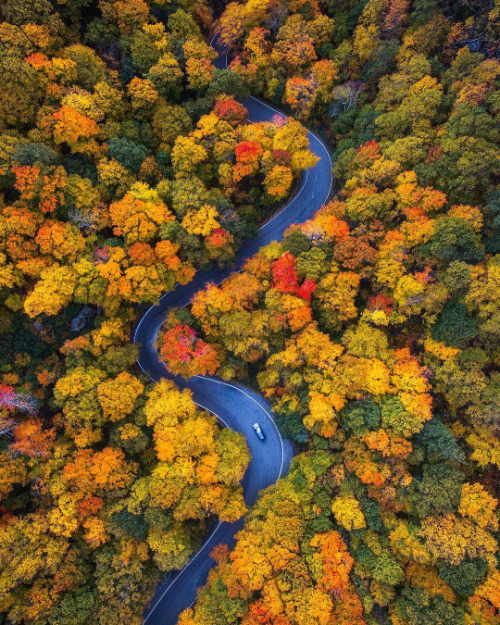 unfugbilder:Vielleicht ist es noch zu früh für Herbstfotos....