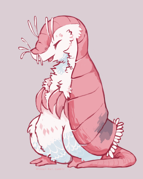 pink fairy armadillo