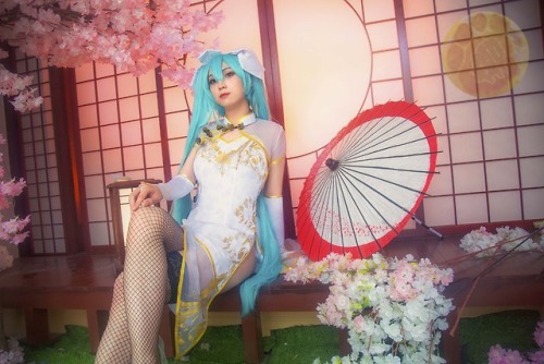 muyelis:初音未来金丝雀的一套cos正片