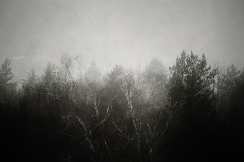 forndom:Snjórtröllheim - XXVIII, XXIX© Heathen Harnow - please...