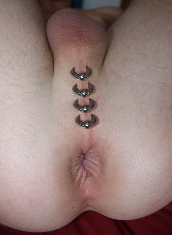 Tumbex Genital Piercing 5854