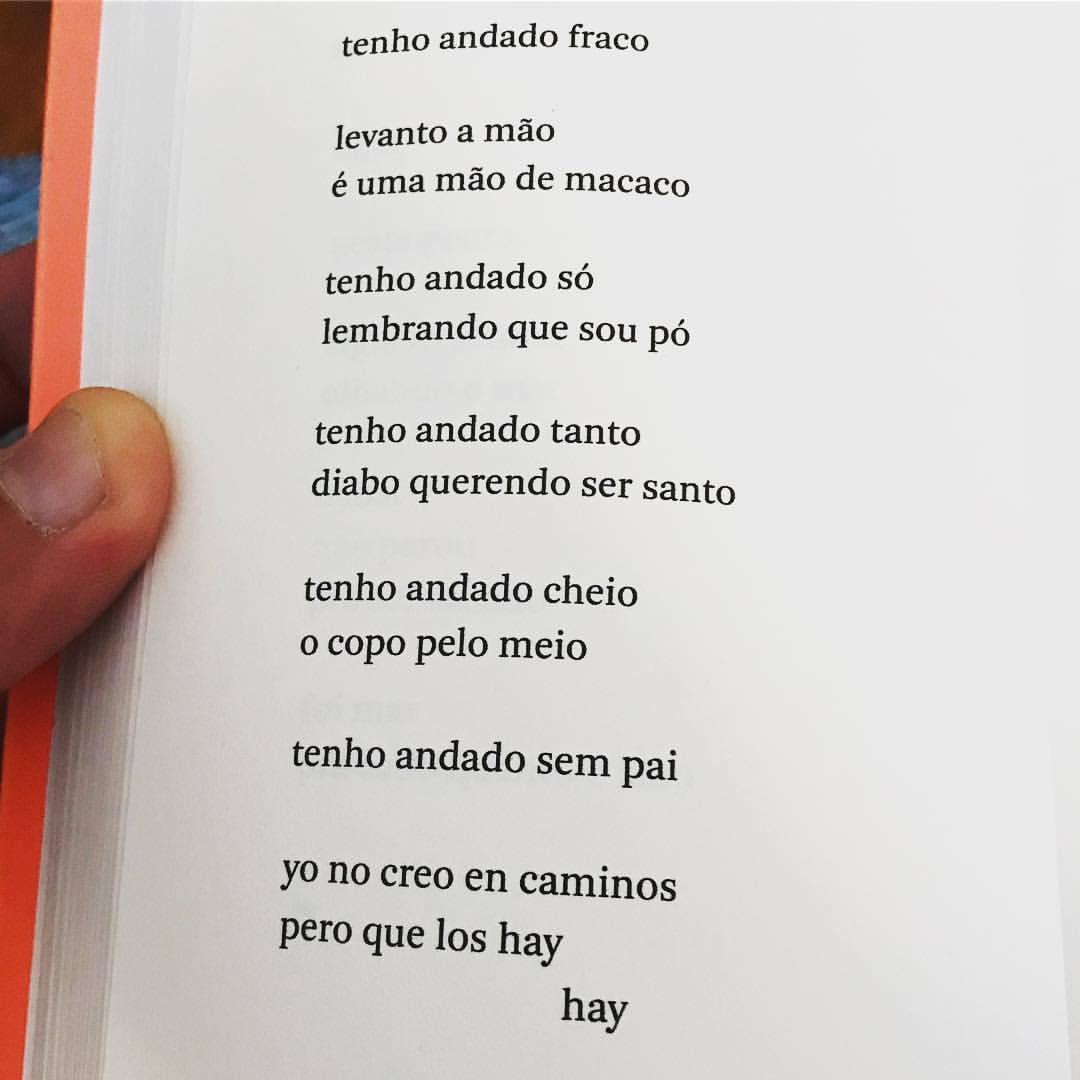 Toda Poesia Paulo Leminski Grifeinumlivro Livro Grifei Num Livro